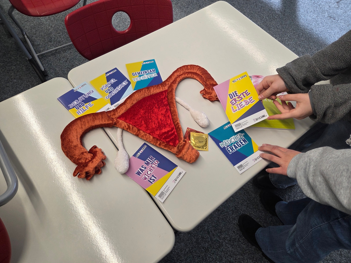 Sexualpädagogik-Workshops für die 8. Klassen